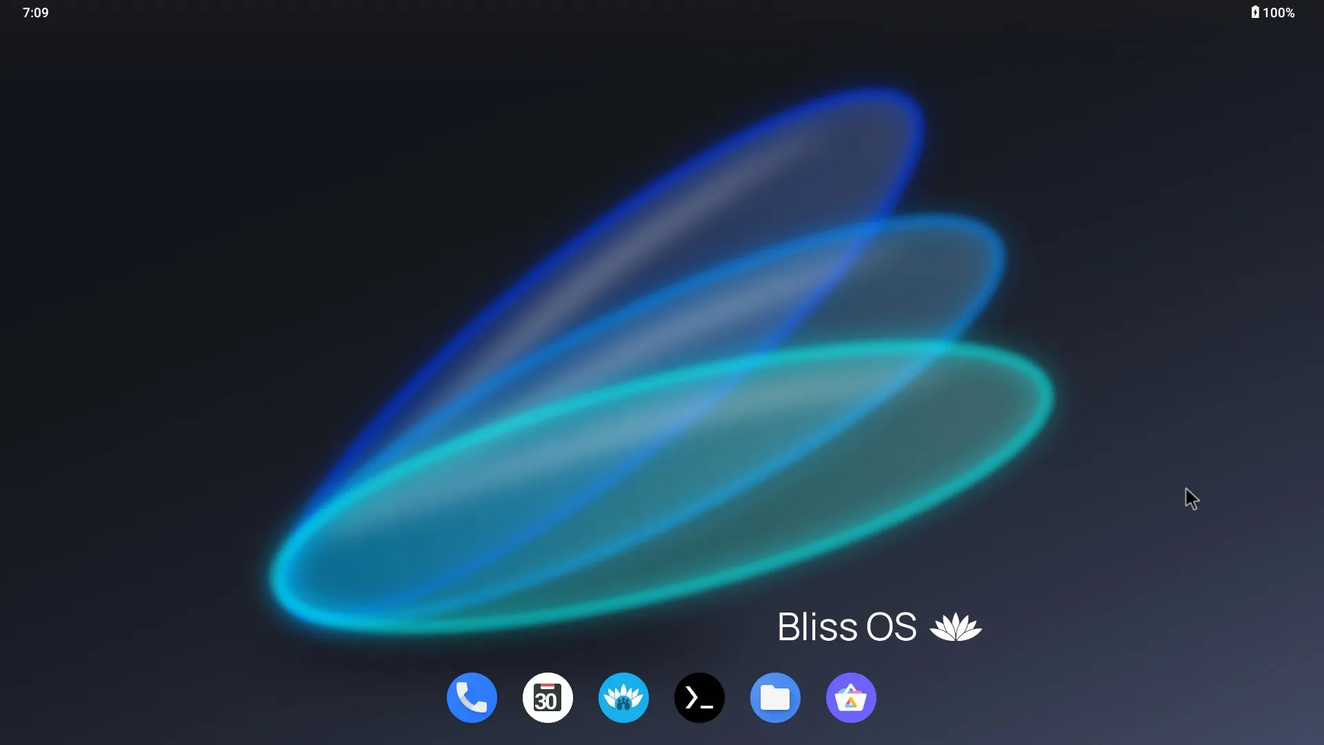 Bliss OS Screenshot 1